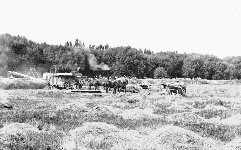 Threshing Machine at Fernhill