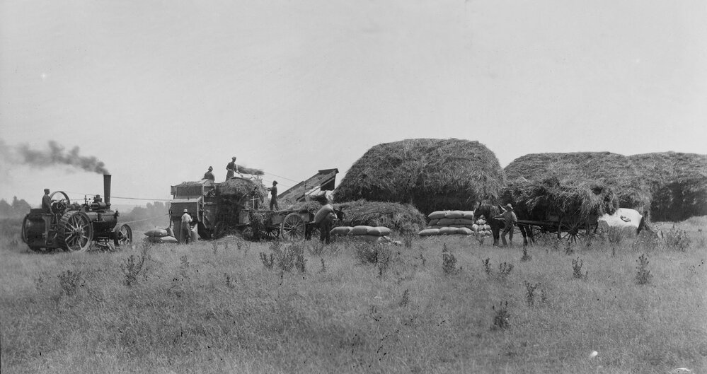 Crop Threshing at Fernhill