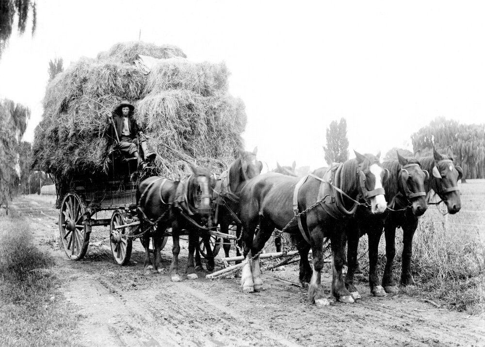 Hay Wagon at Twyford