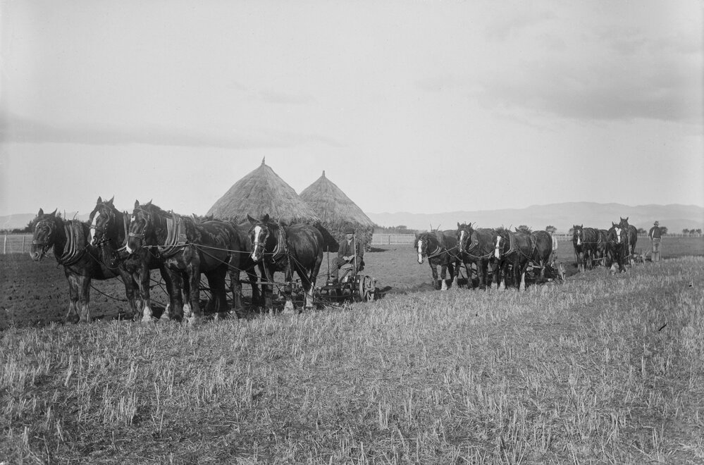 Ploughing in Stubble at Fernhill