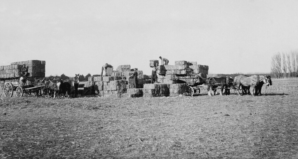 Loading Pressed Straw