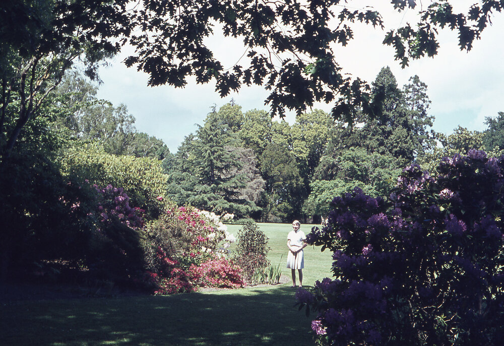 Frimley Park Gardens