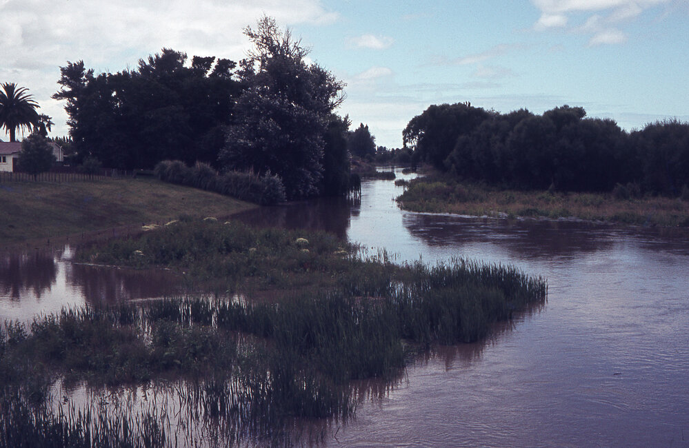 Karamū Stream in Flood, Havelock North