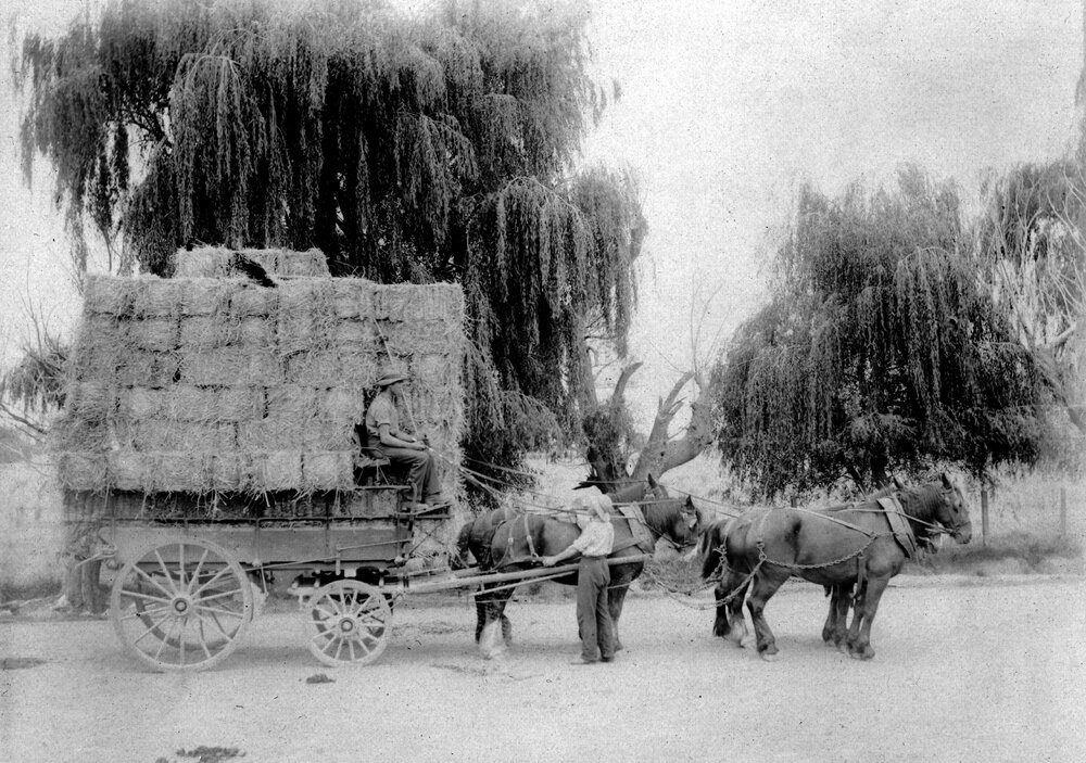 Bales of Hay on Wagon