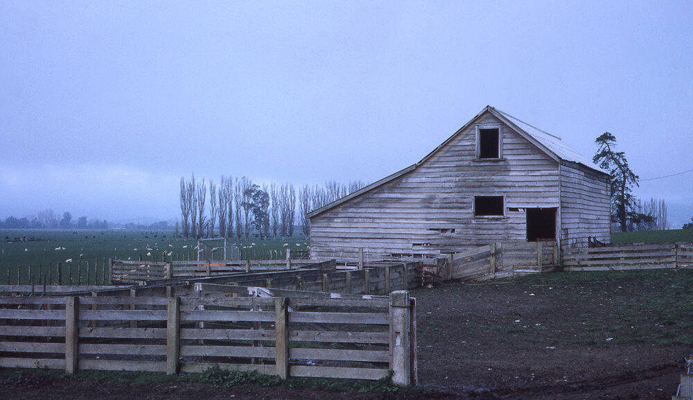 Woolshed on Middle Road