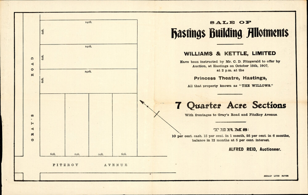 Plan of Hastings Building Allotments (Fitzroy Ave)