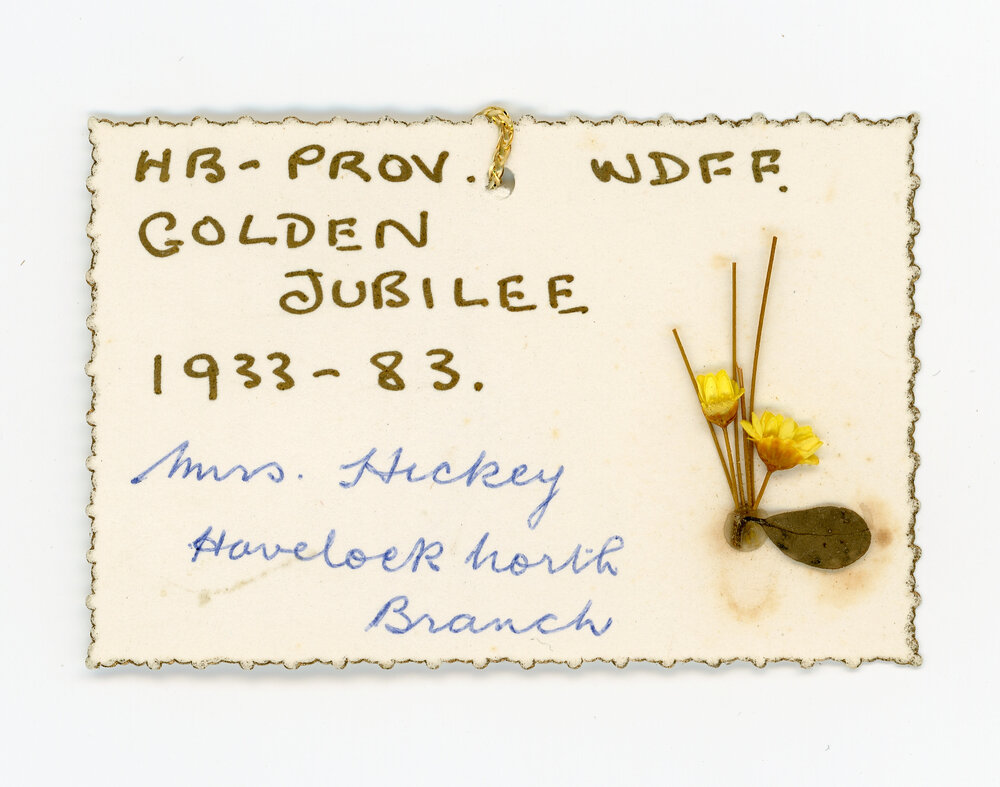 Name Tag Hawkes Bay Provincial Golden Jubilee WDFF
