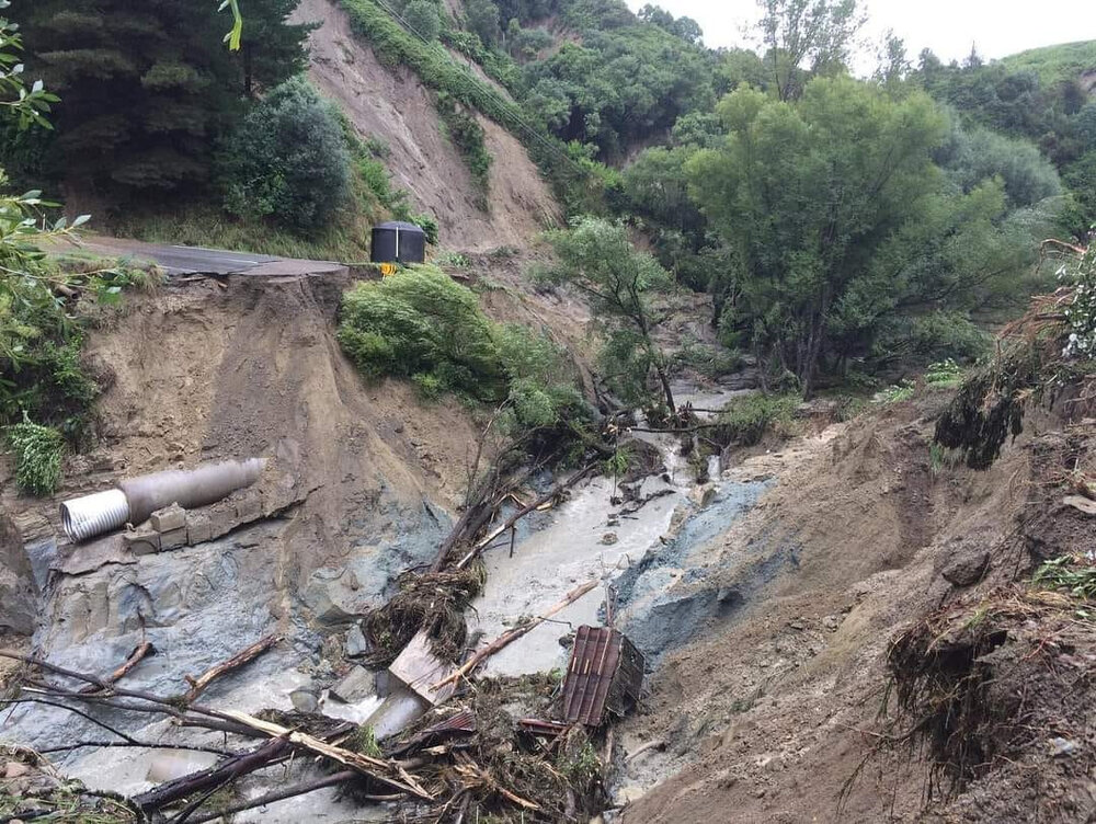 Kereru Gorge 