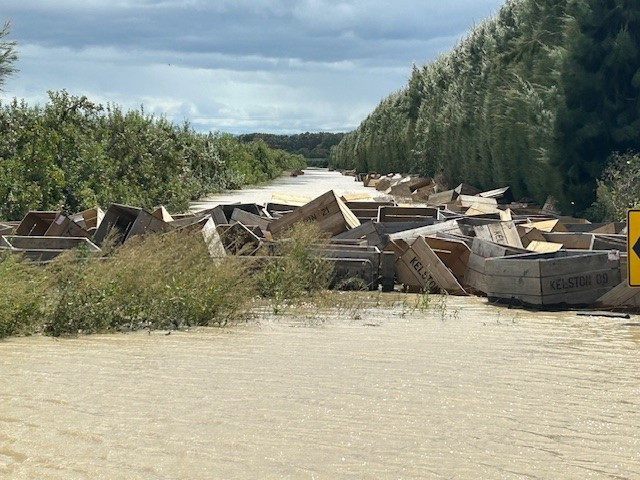 Bins in Flooded Pakowhai Orchard