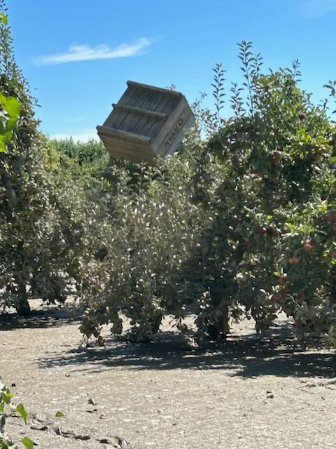 Bin in Tree
