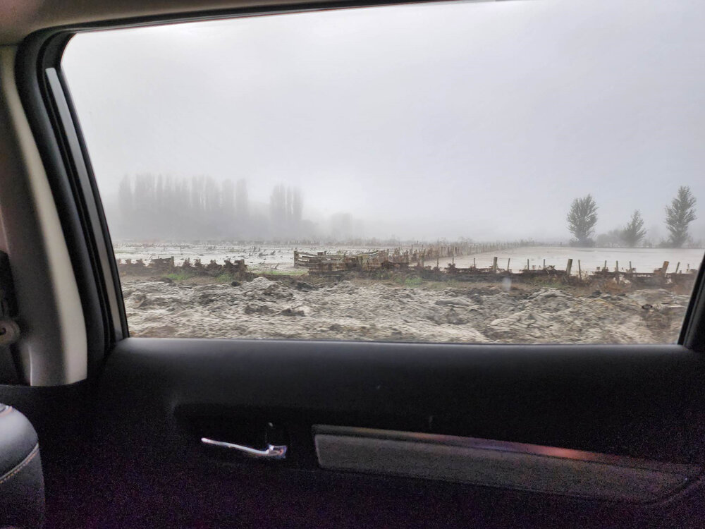 Swamp Road 2023