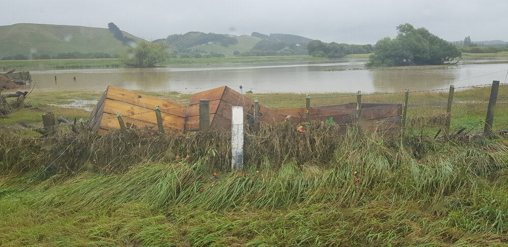 Bins at Pukehamoamoa