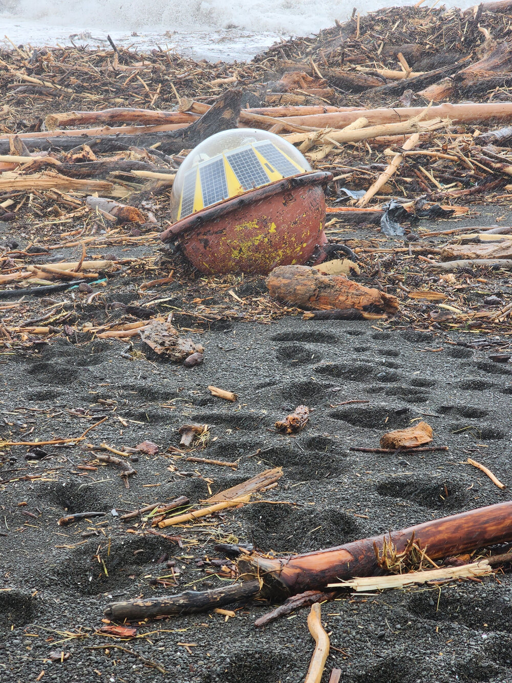 Bay View Shoreline