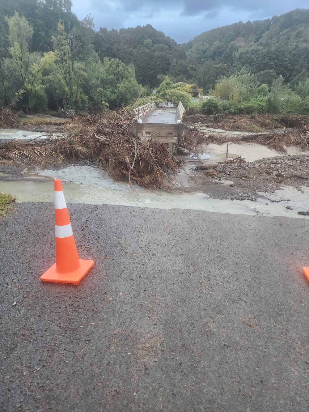 Big Hill Road Bridge Kereru