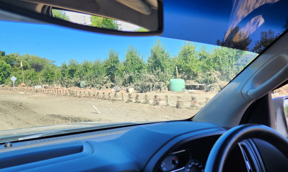 Wine Barrels in Orchard