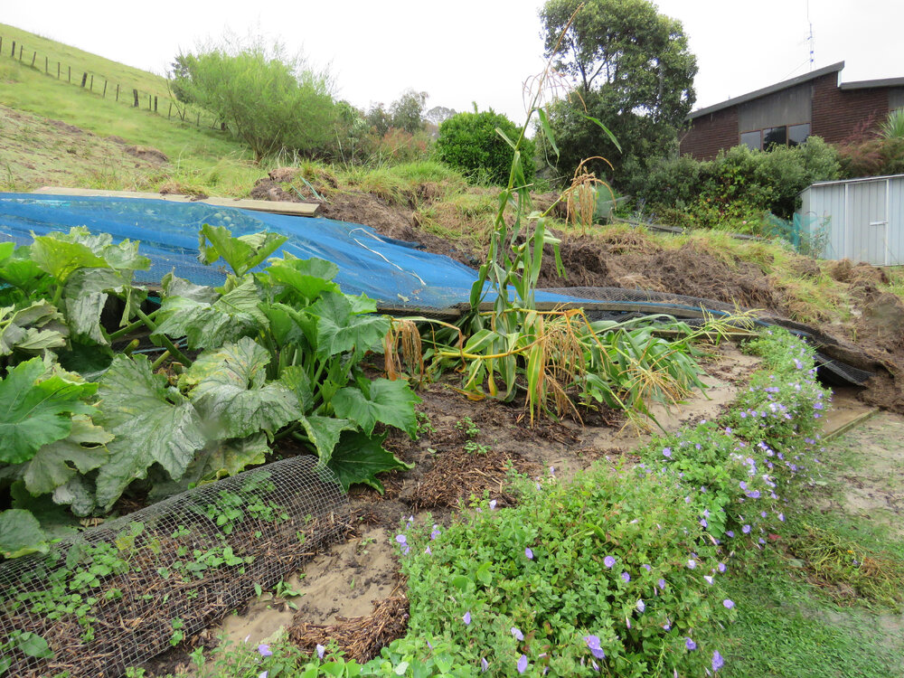 Buried Vegetable Garden