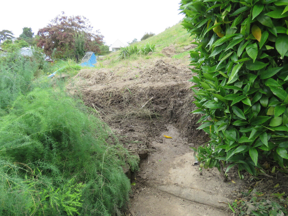 Garden Path in Havelock North