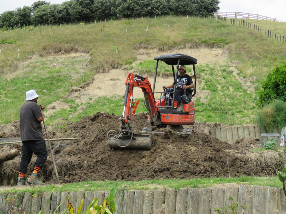 Clean Up in Havelock North Garden