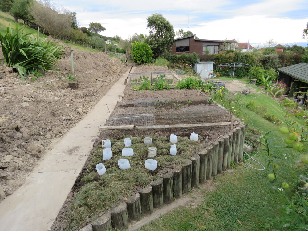 Restored Garden Havelock North