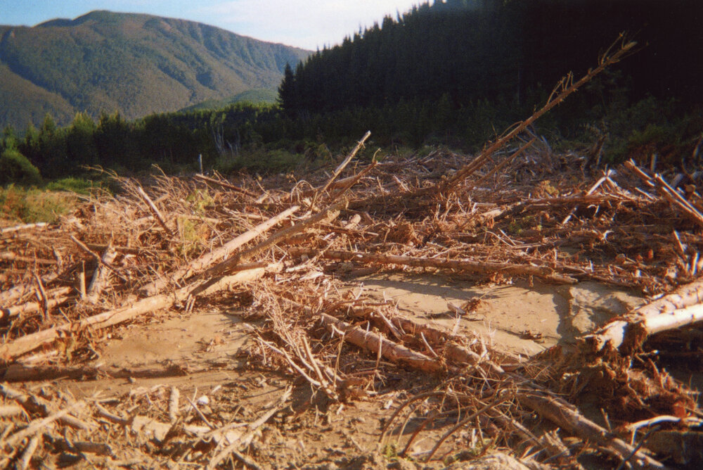 Stream North of Kuripapango