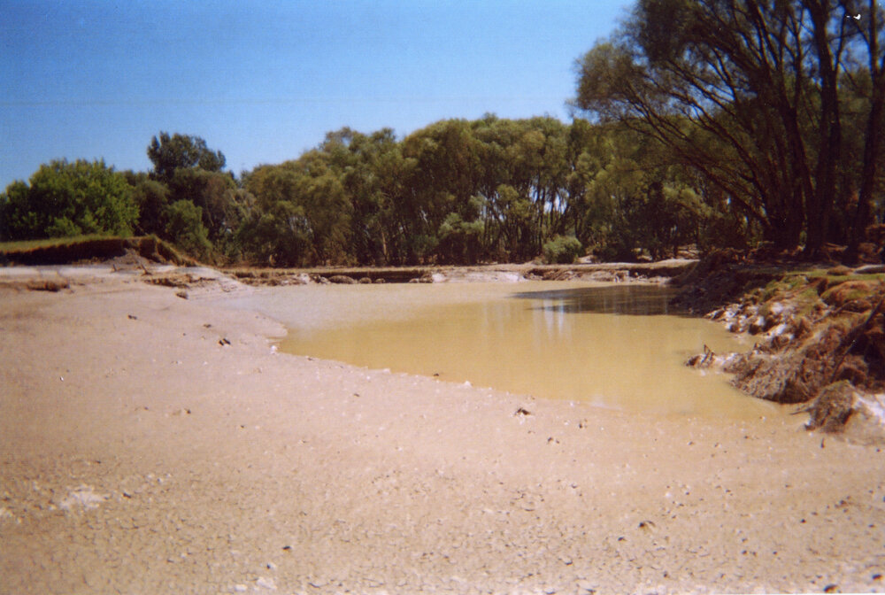 Ngaruroro River Bank