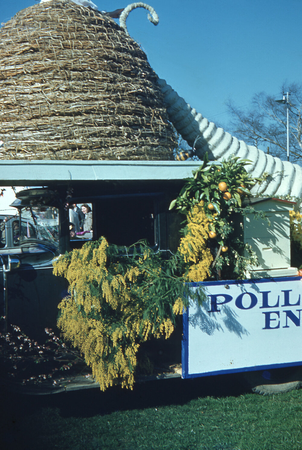 Beekeepers Float 1951