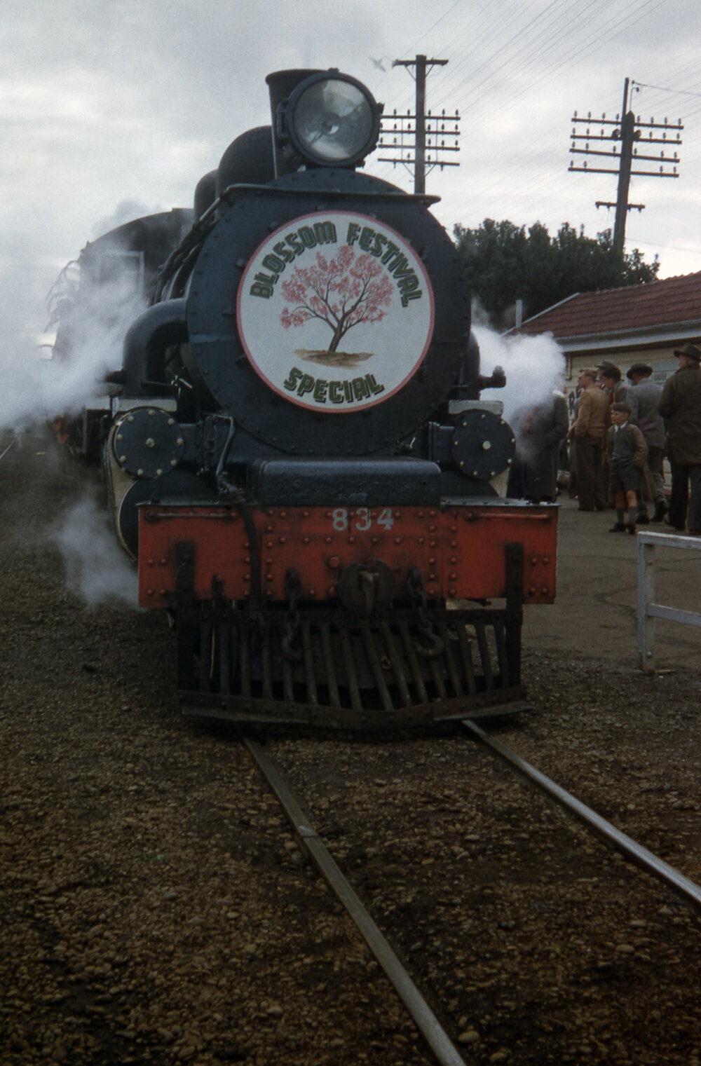 Blossom Train 1956 