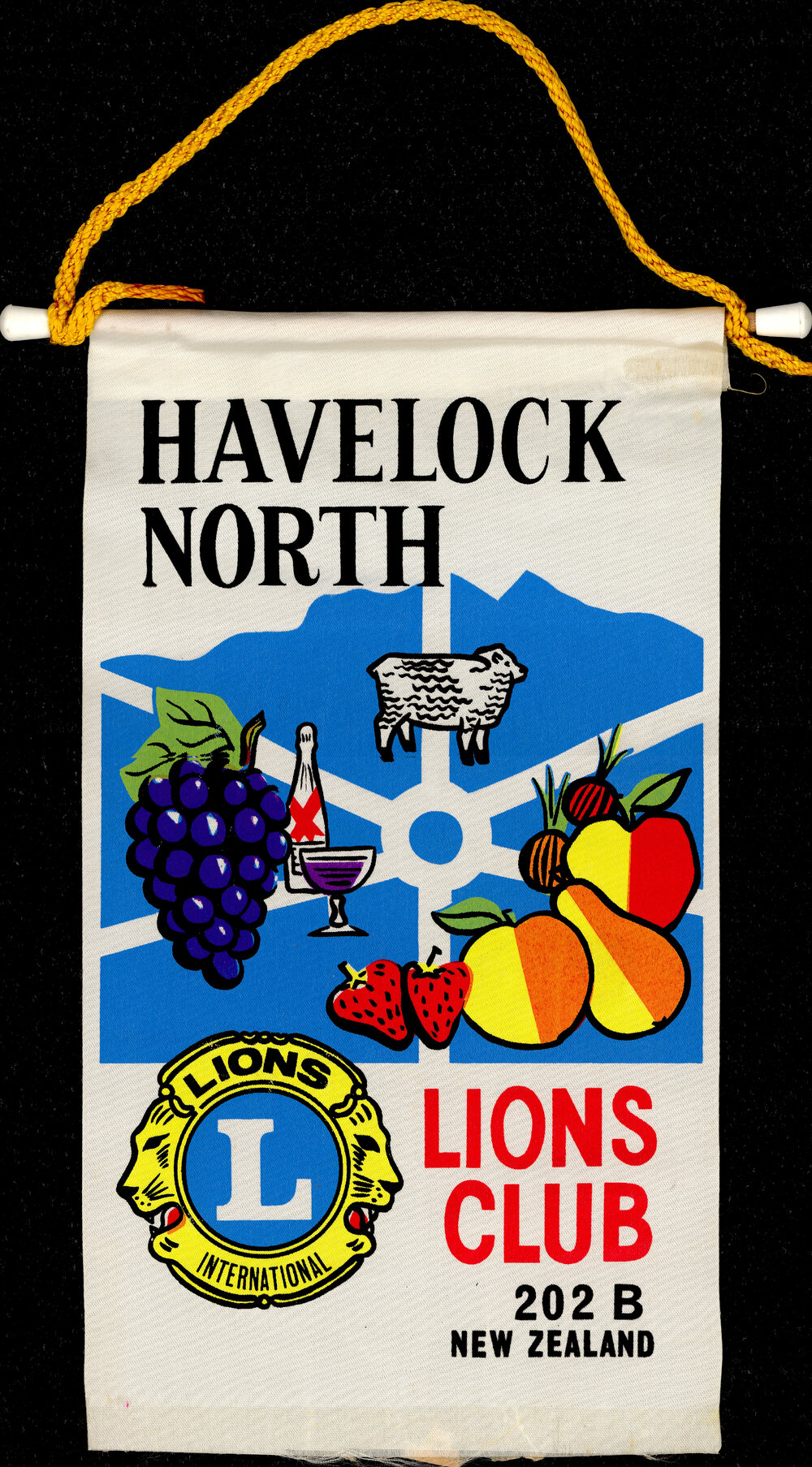 Lions Club Banner Havelock North