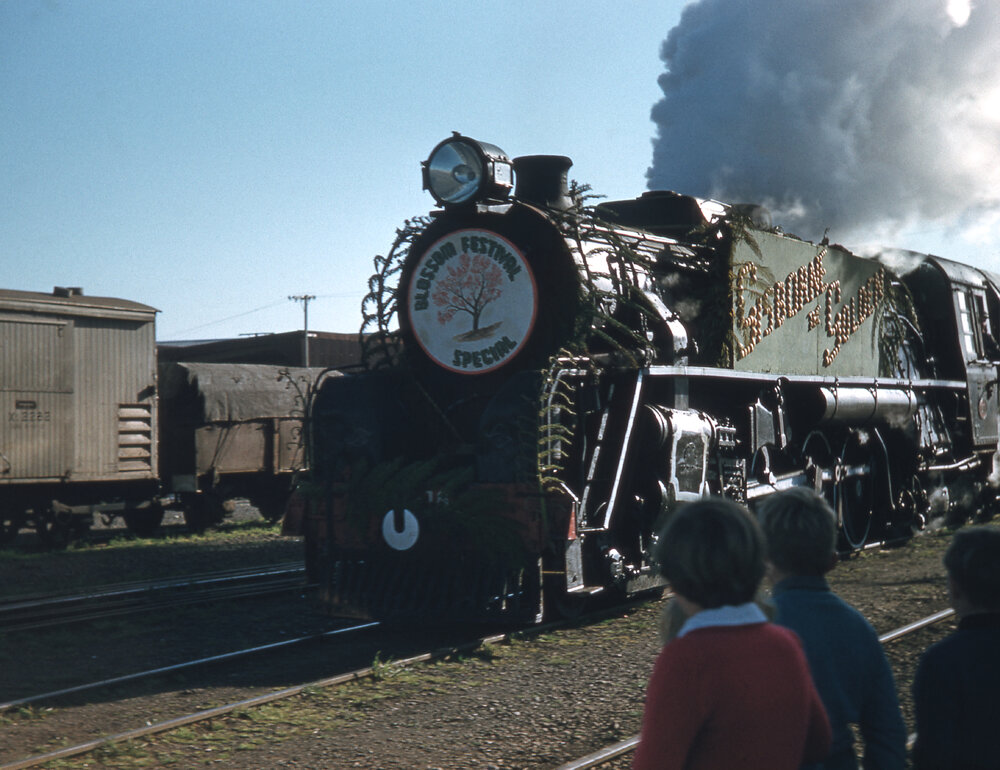 Gisborne Blossom Train 1960s