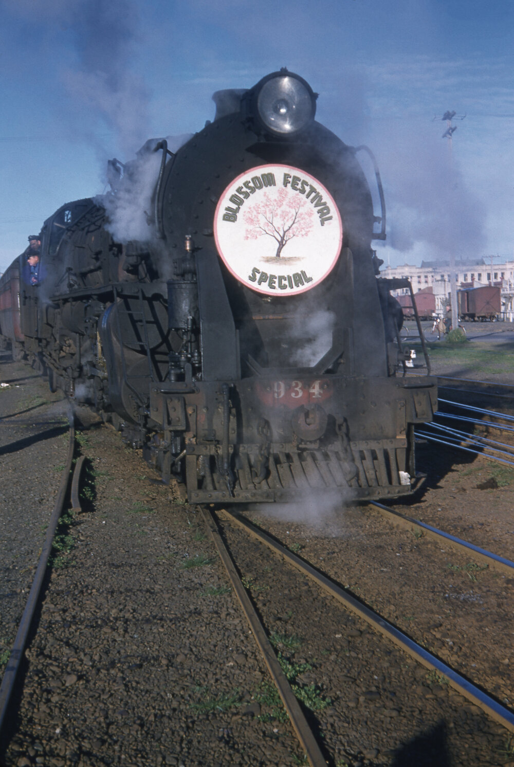 Hastings Blossom Festival Special 