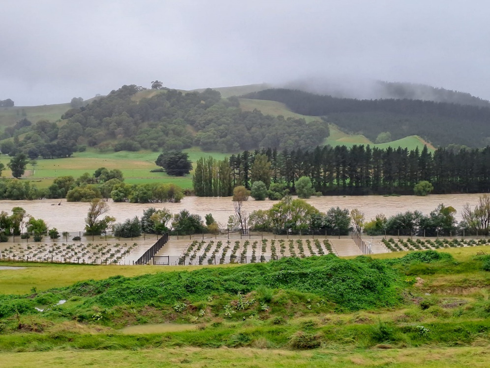 Flooded Tukituki Valley 