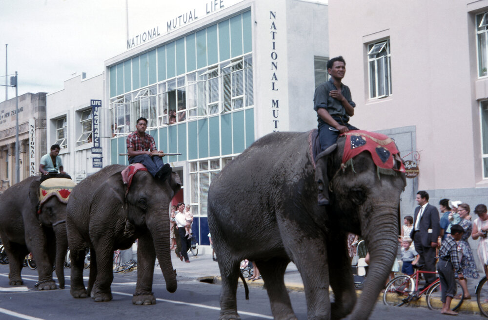 Elephants in Market Street 