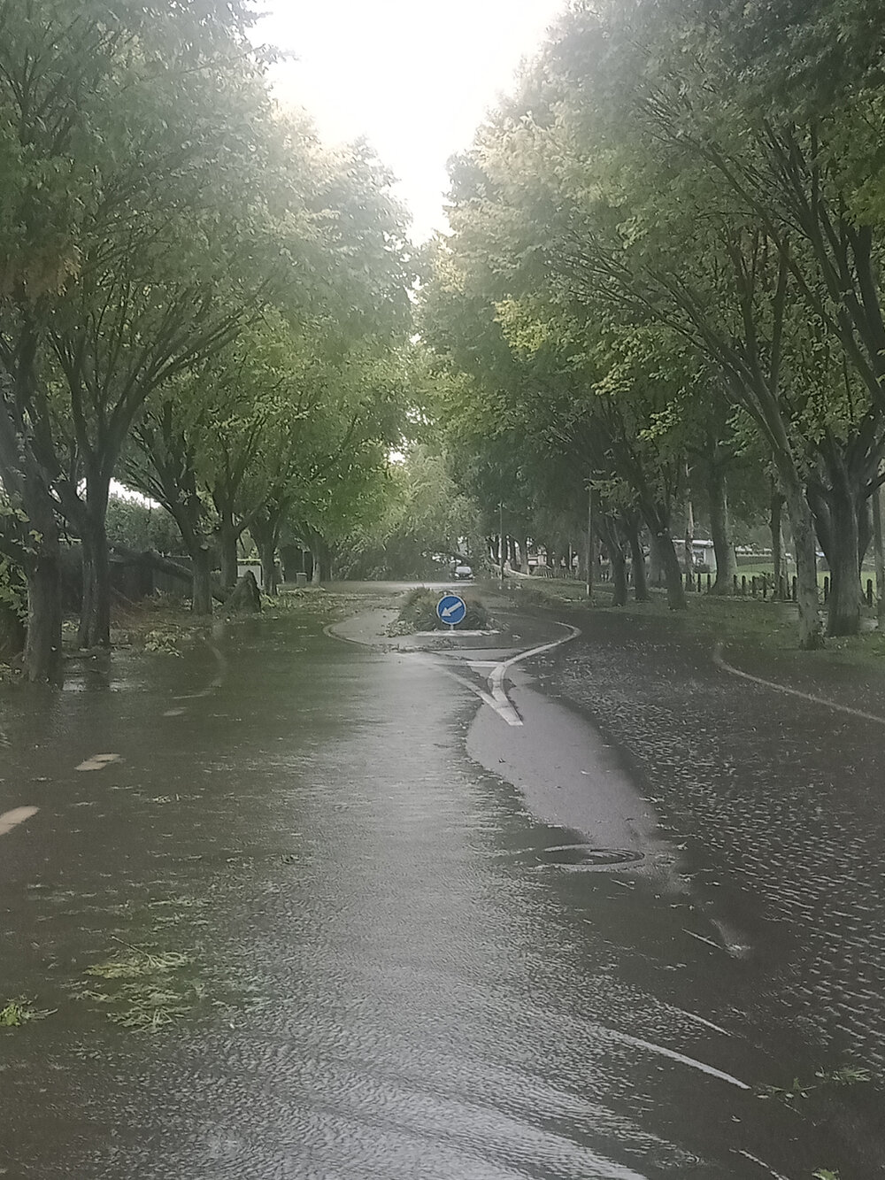 Flooded Sylvan Road 2023 