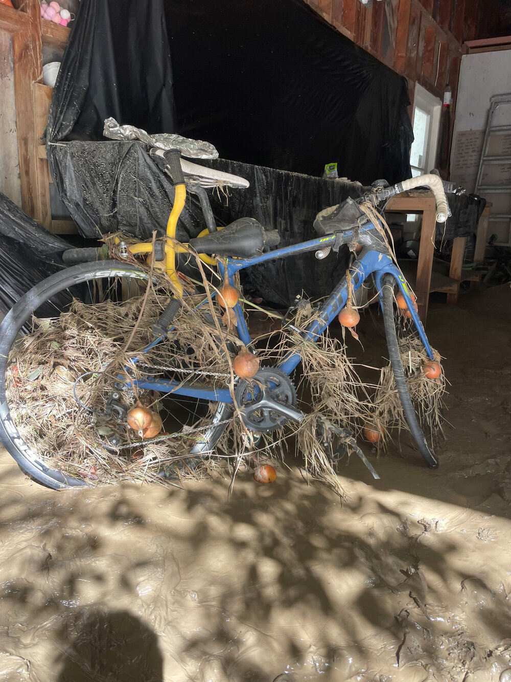 Bicycle Covered in Debris