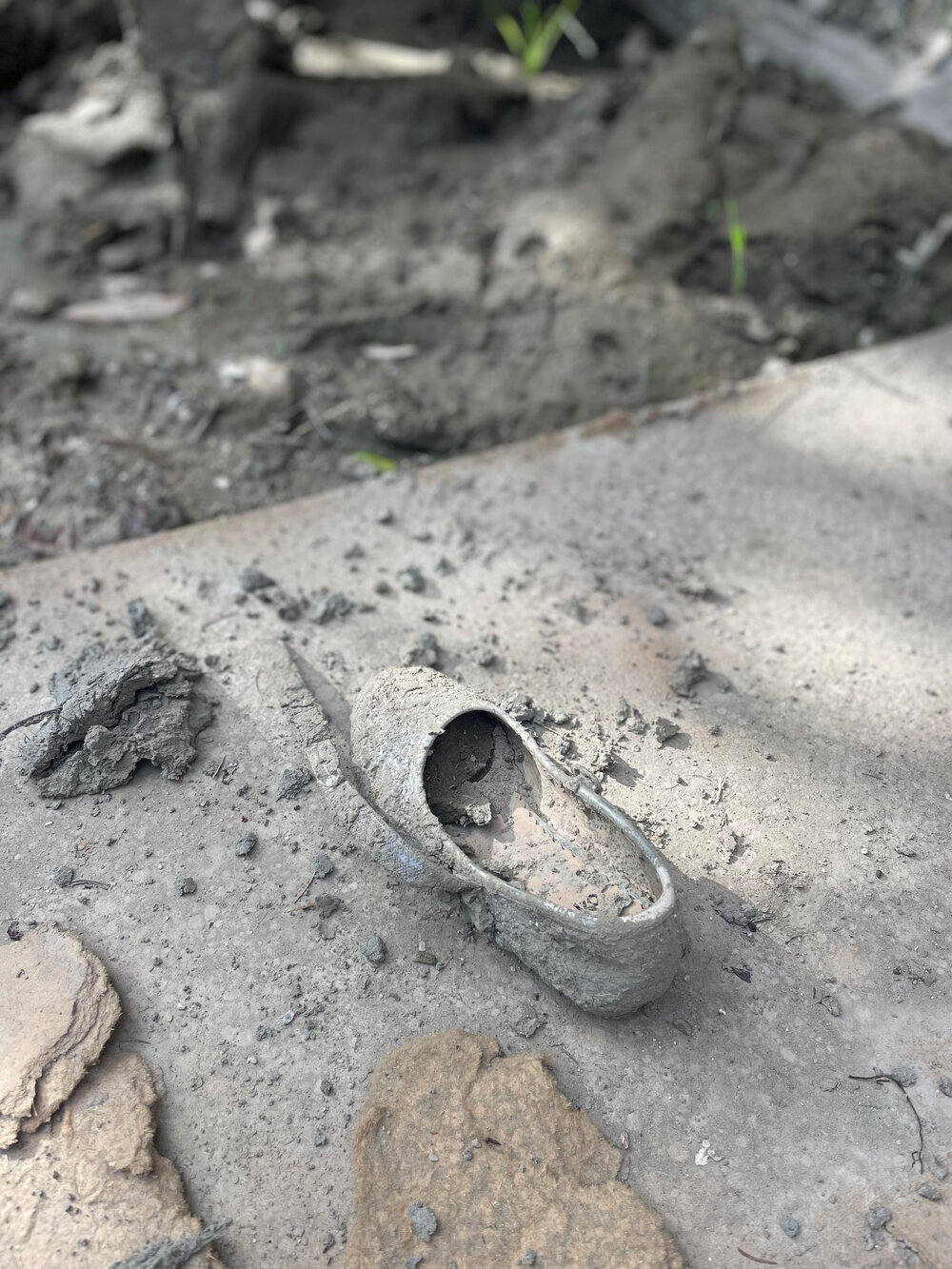 Shoe in Silt
