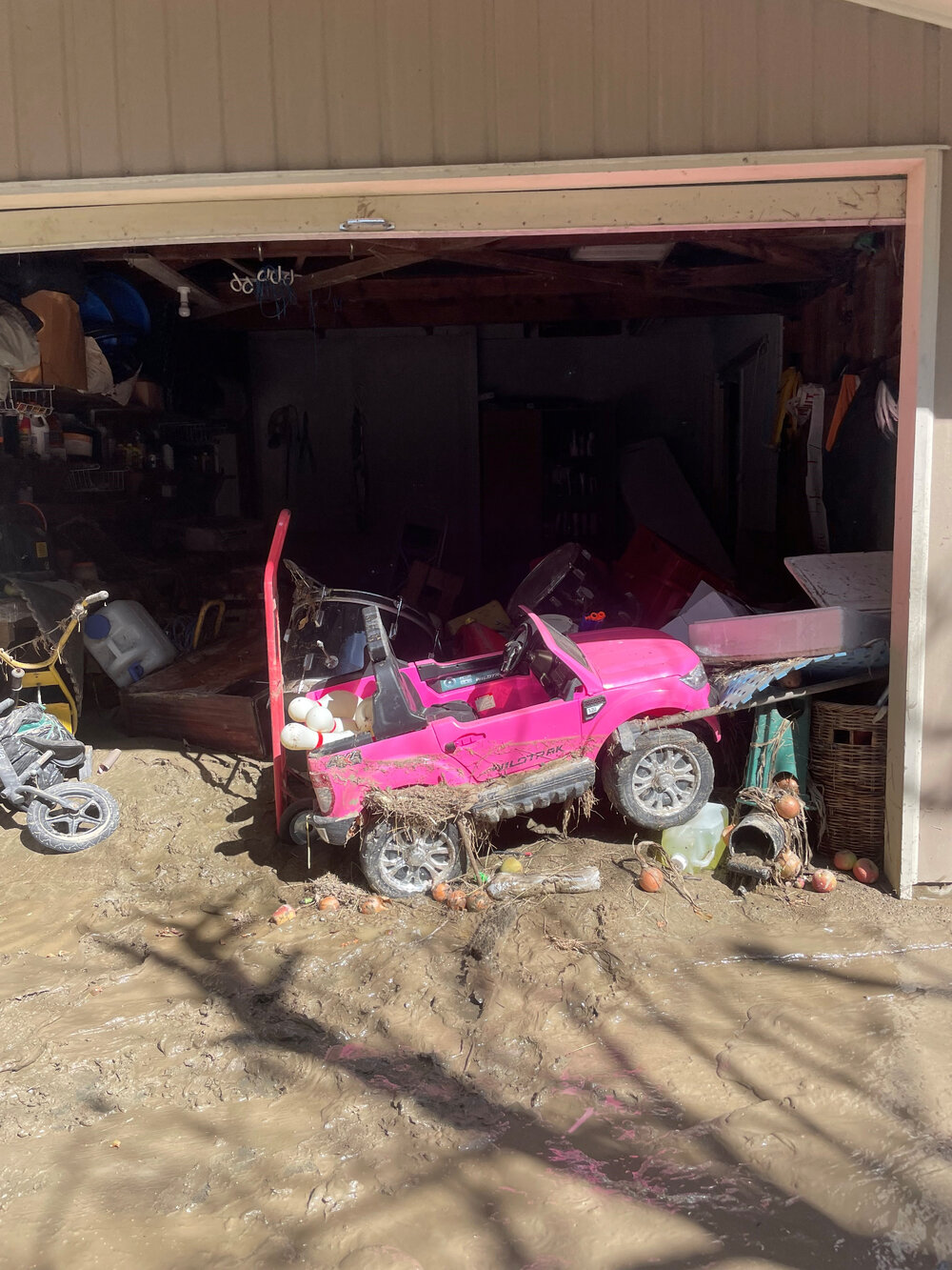 Swamp Road Shed