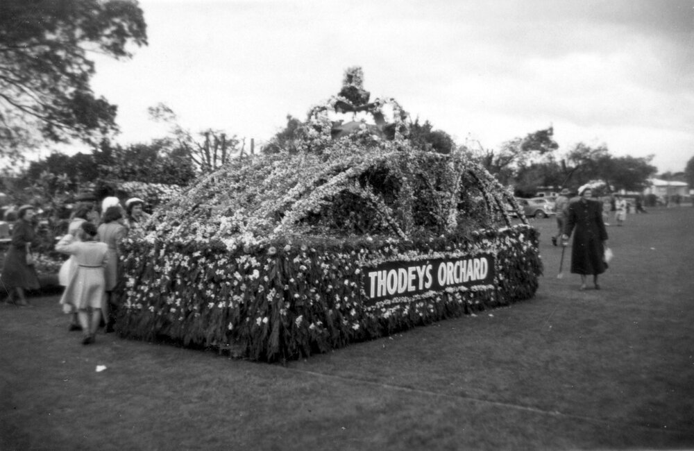 Thodey's Orchard Float 1953