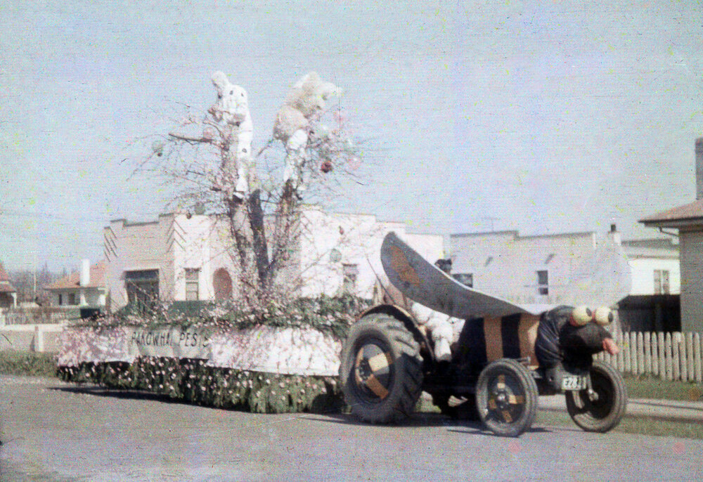Pakowhai Pests Float 1951