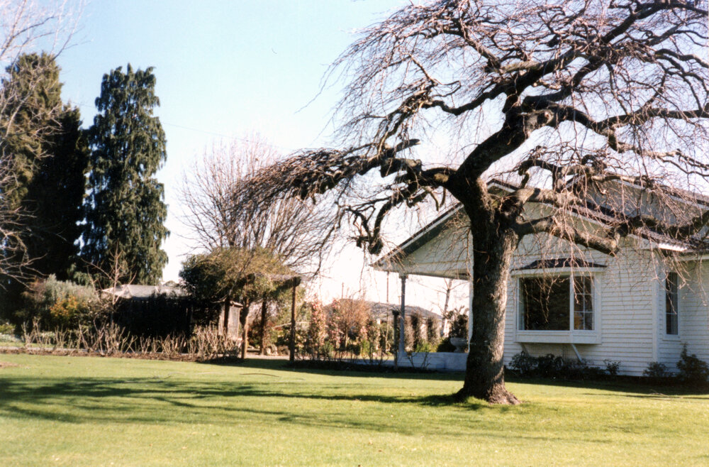 Kelston Orchard