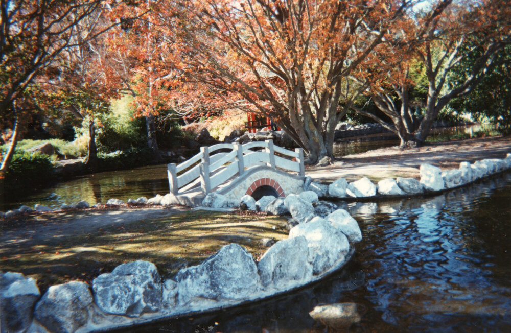 Osmanthus Garden 1997