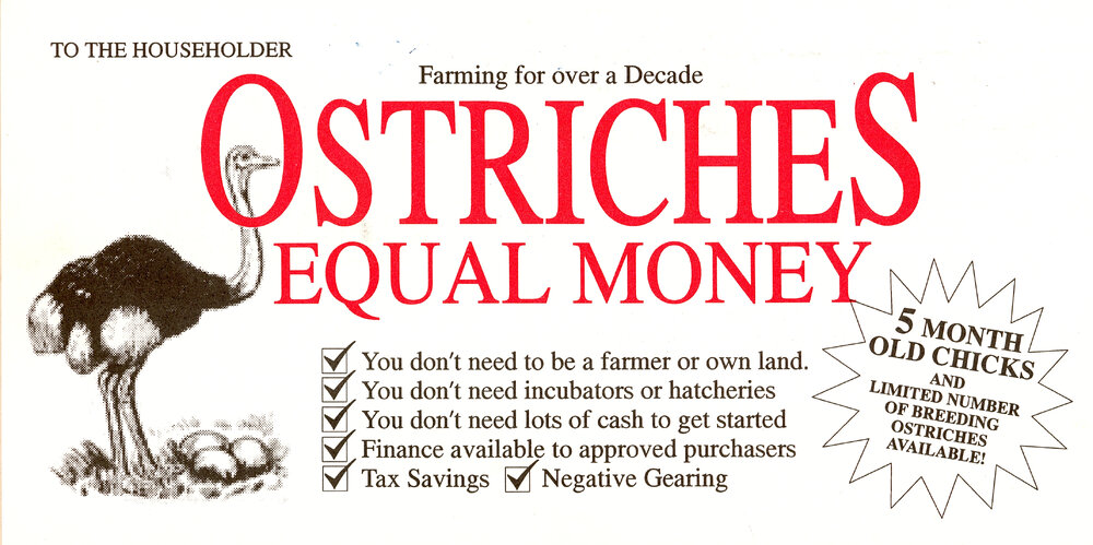 Ostrich Investment Flyer