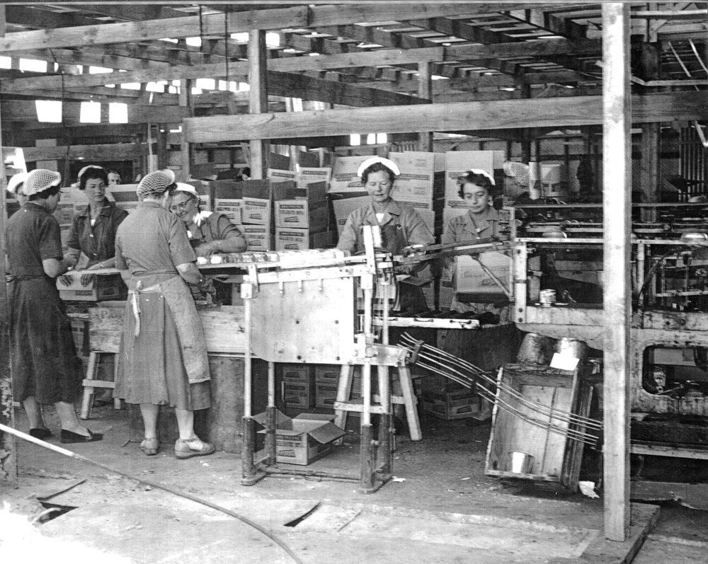 Packing Boxes at Wattie's 