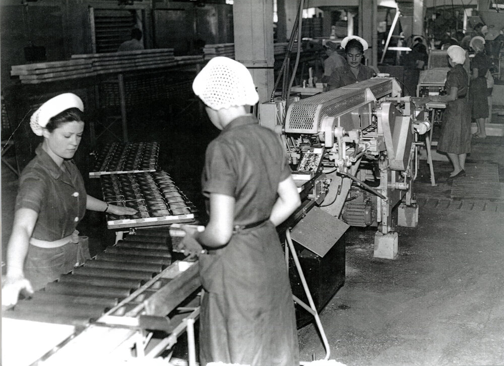 Assembly Line at Wattie's