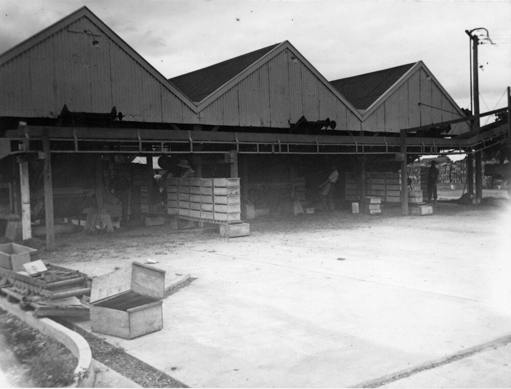 Wattie's Transport Depot 