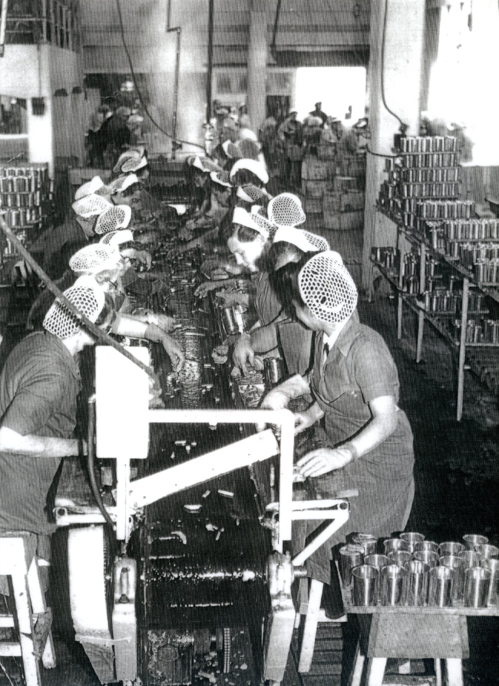 Canning Asparagus at J.Wattie Canneries 