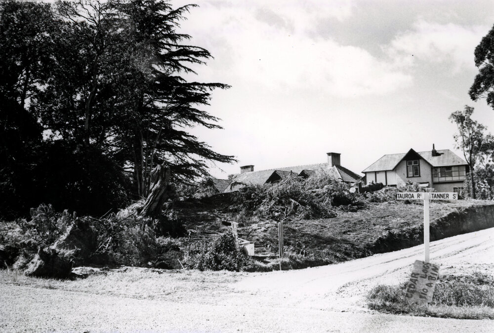 Felled Trees  at Whare Ra