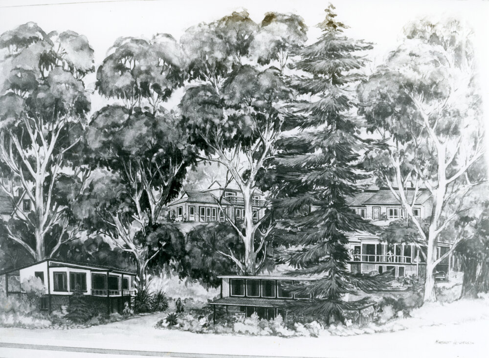 Concept Drawing of Whare Ra Subdivision