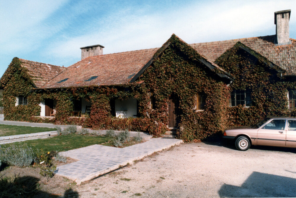 Ivy Covered Whare Ra, 1983