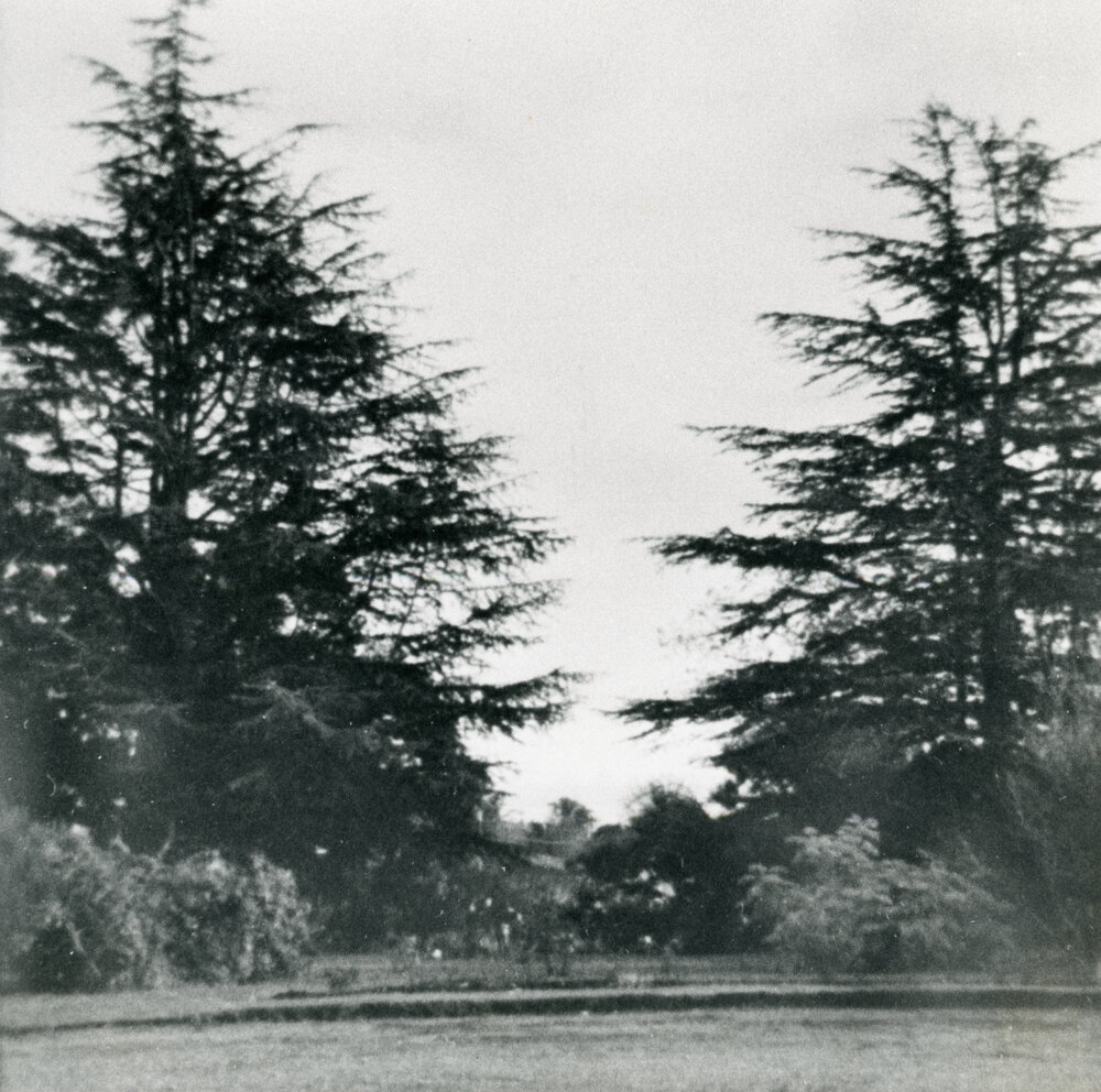 Whare Ra Gardens From Front Door