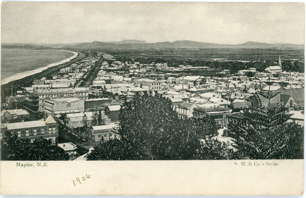 Napier From Bluff Hill